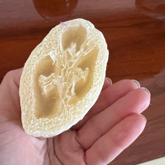 ⭐️🌴Gilchrist & Soames Loofah Shaped Soap Scrubber - Picture 2 of 3